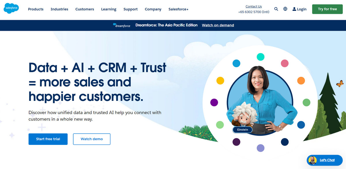 Salesforce - one of the largest ecommerce platforms in 2024

